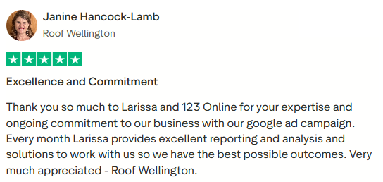 Janine google ads